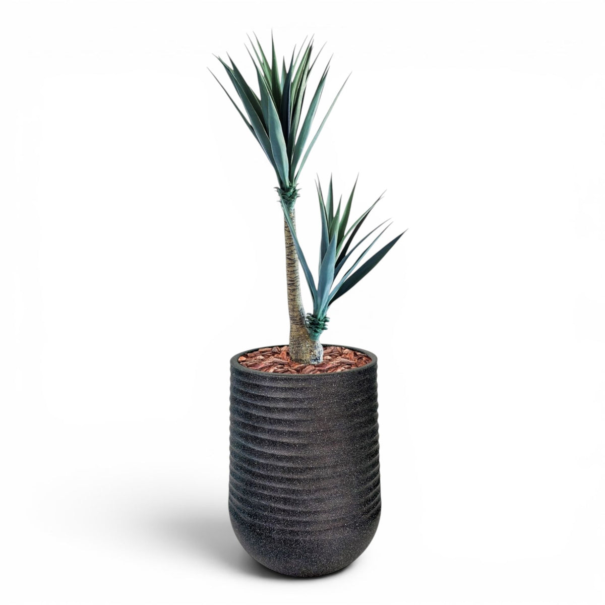Artemis Planter L 53x69.5 Black with  Yucca 130cm