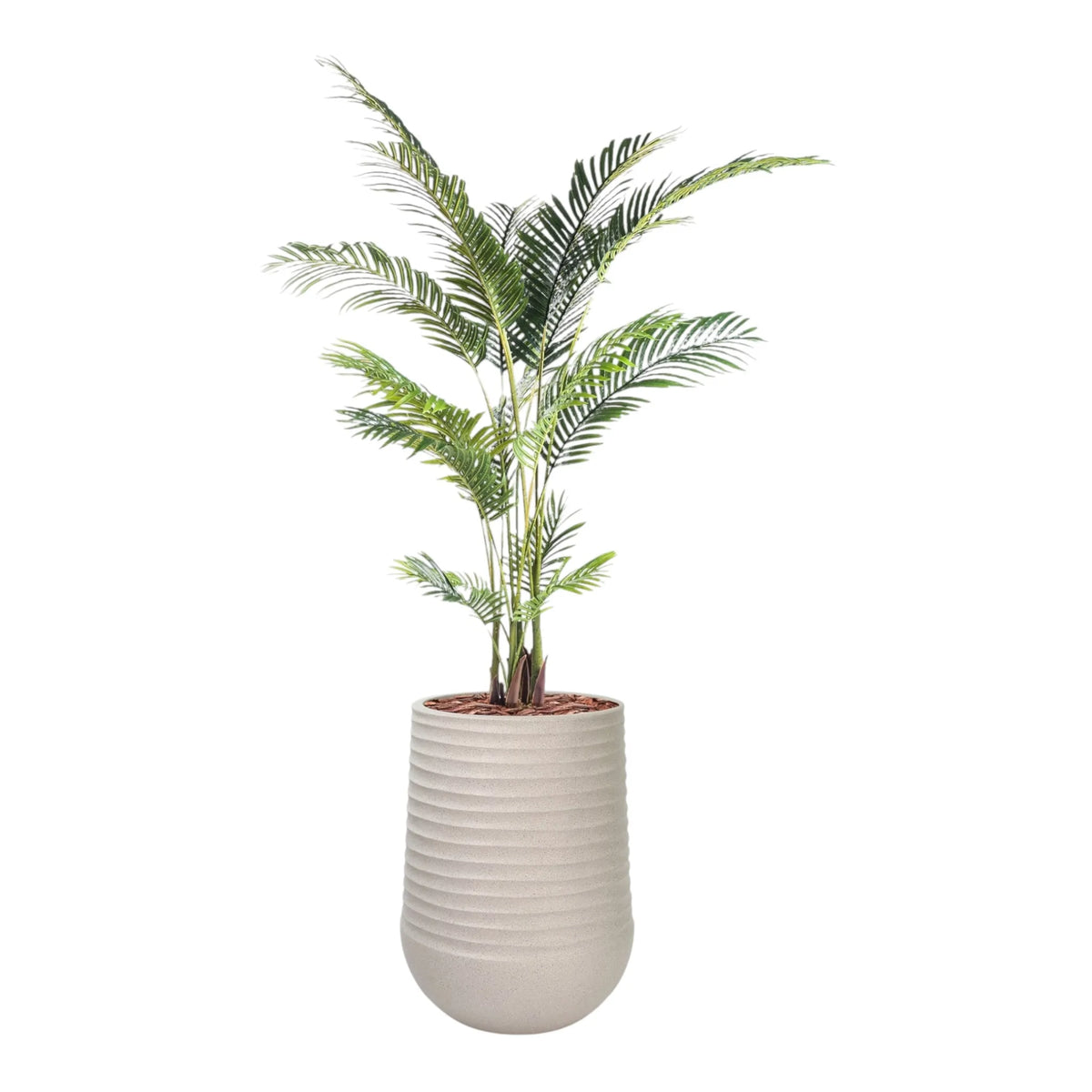 Artemis Planter L 53x69.5 Beige  with Areca Palm 170cm