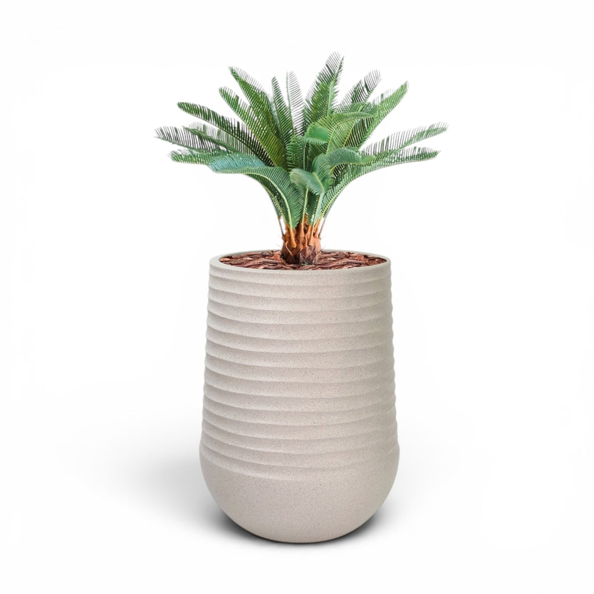 Artemis Planter L 53x69.5 Beige with Cycas 72cm