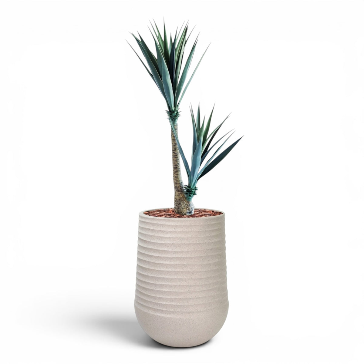 Artimis Planter L Beige With Yucca 130cm