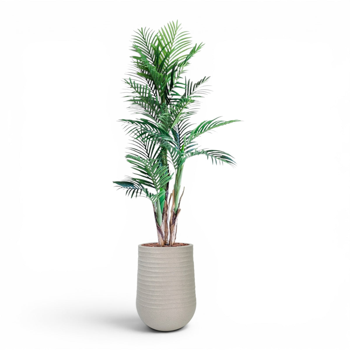 Artimis Planter M Beige With Areca Palm 150cm