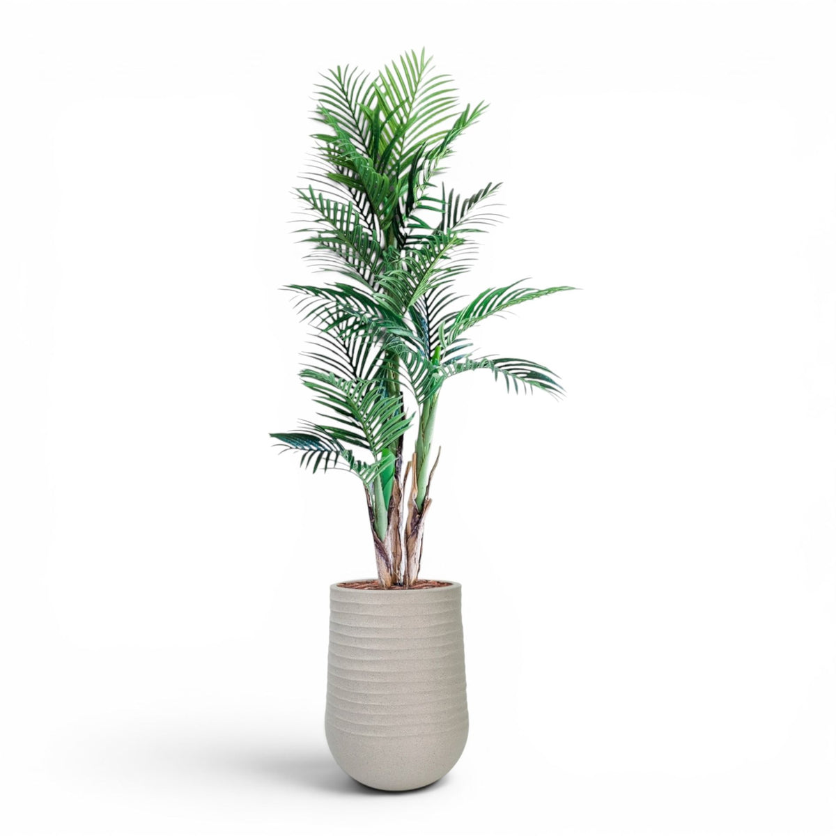 Artimis Planter M Beige With Areca Palm 150cm