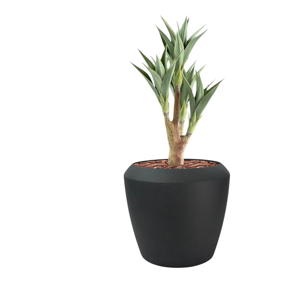 Linford L 55.5x48 Black With Agave 105cm