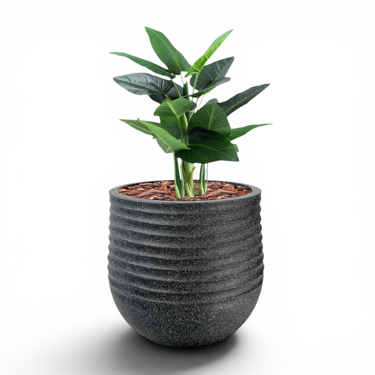 Mariella Round L 53 x 49 Black With Calla Lily 90cm