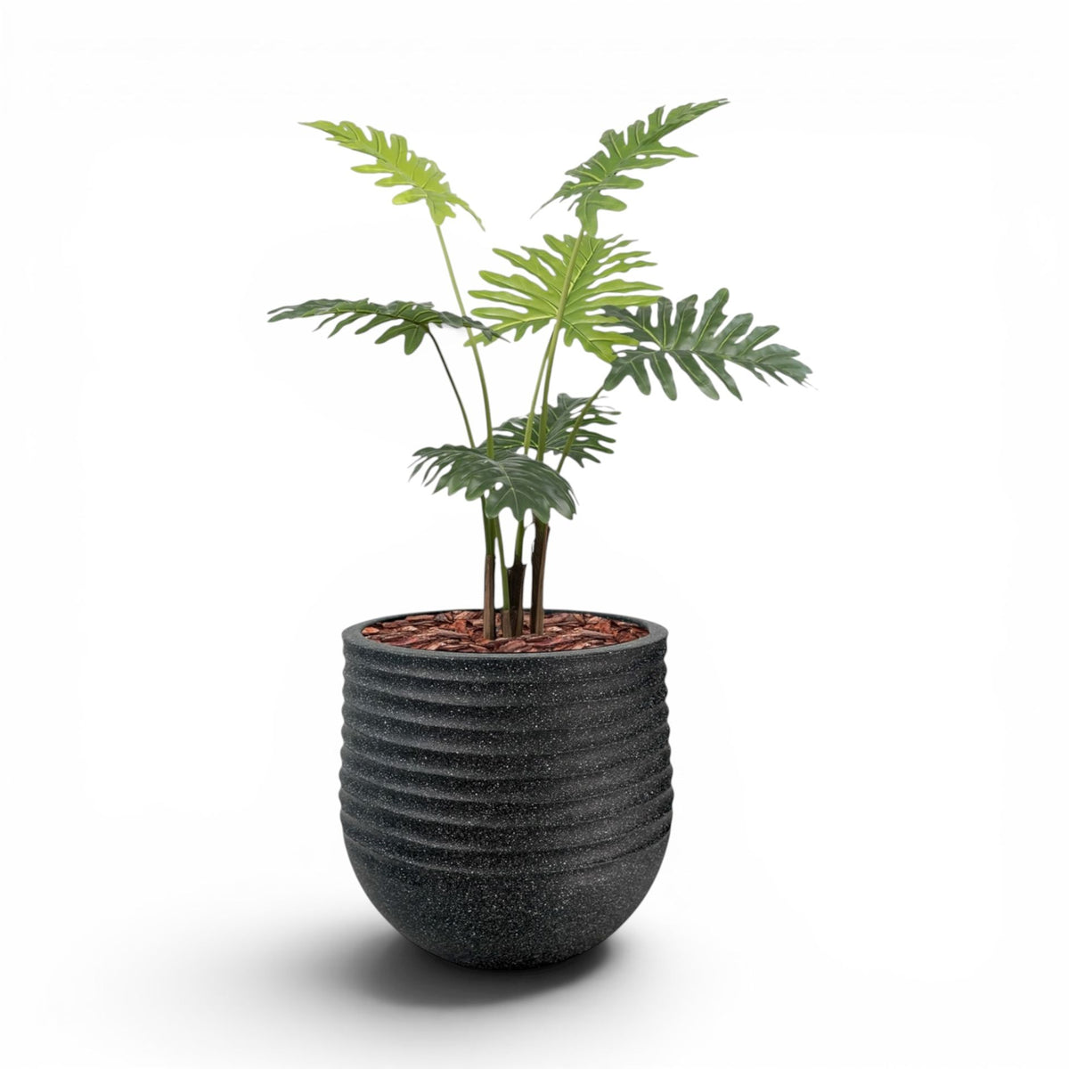 Mariella Round L 53 x 49 Black With Philodendron 120cm