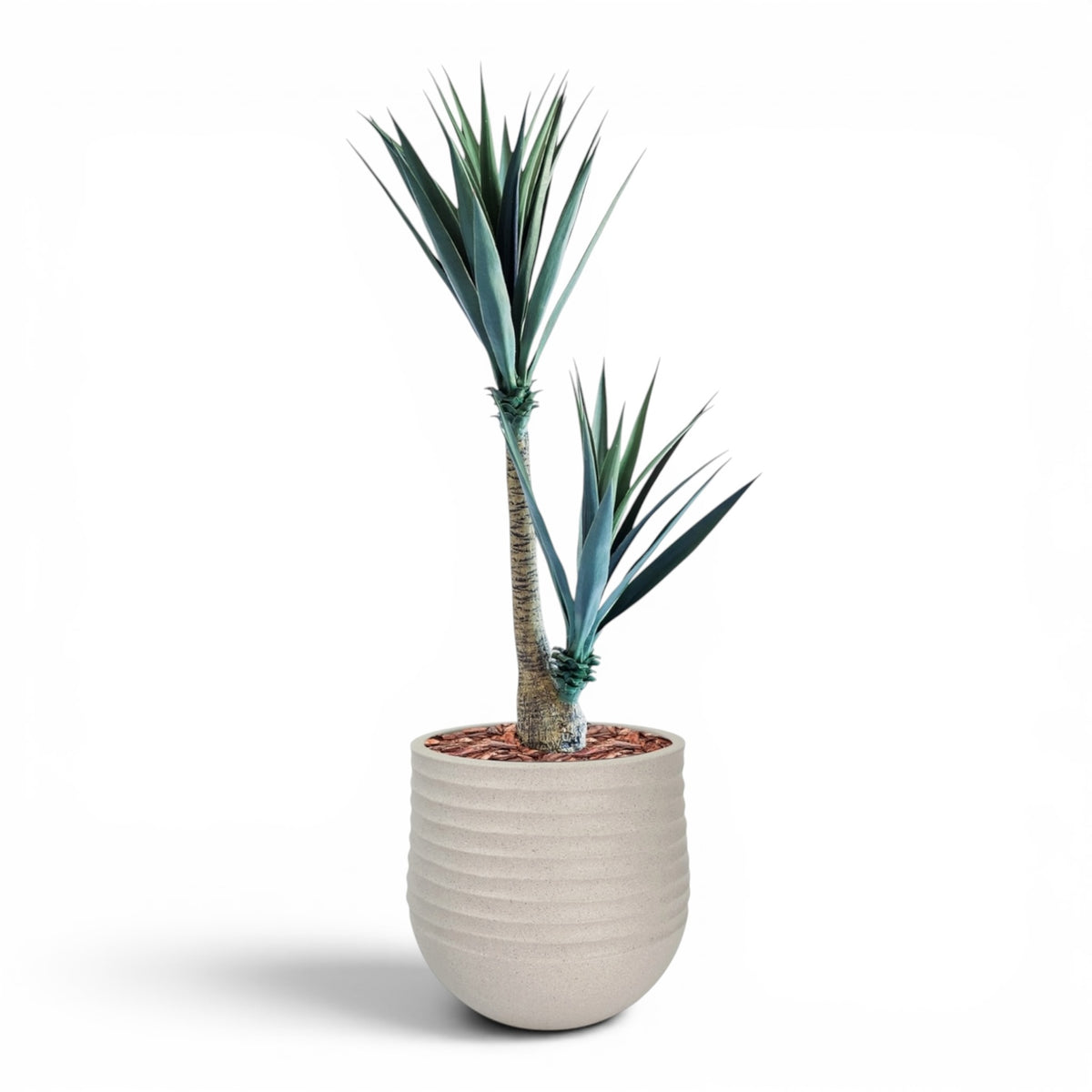 Mariella Round M 40 x 37 Beige With Yucca 130cm
