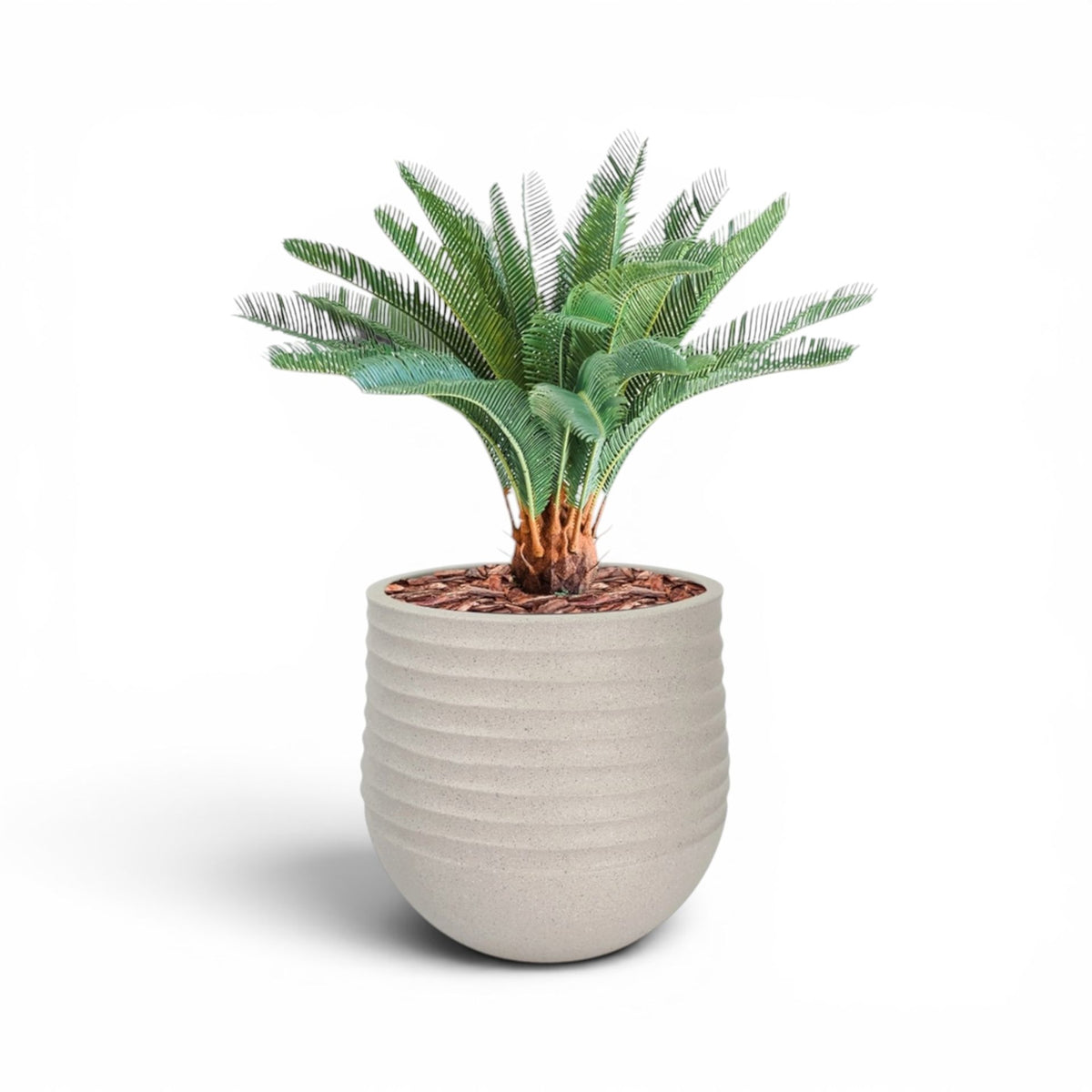 Mariella Round Planter M 40 x 37 Beige With Cycas 72cm