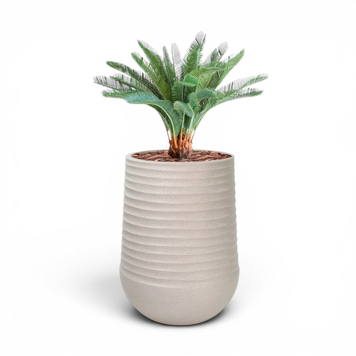 Mariella Round M 40 x 37 Beige With Strelitzia 160cm