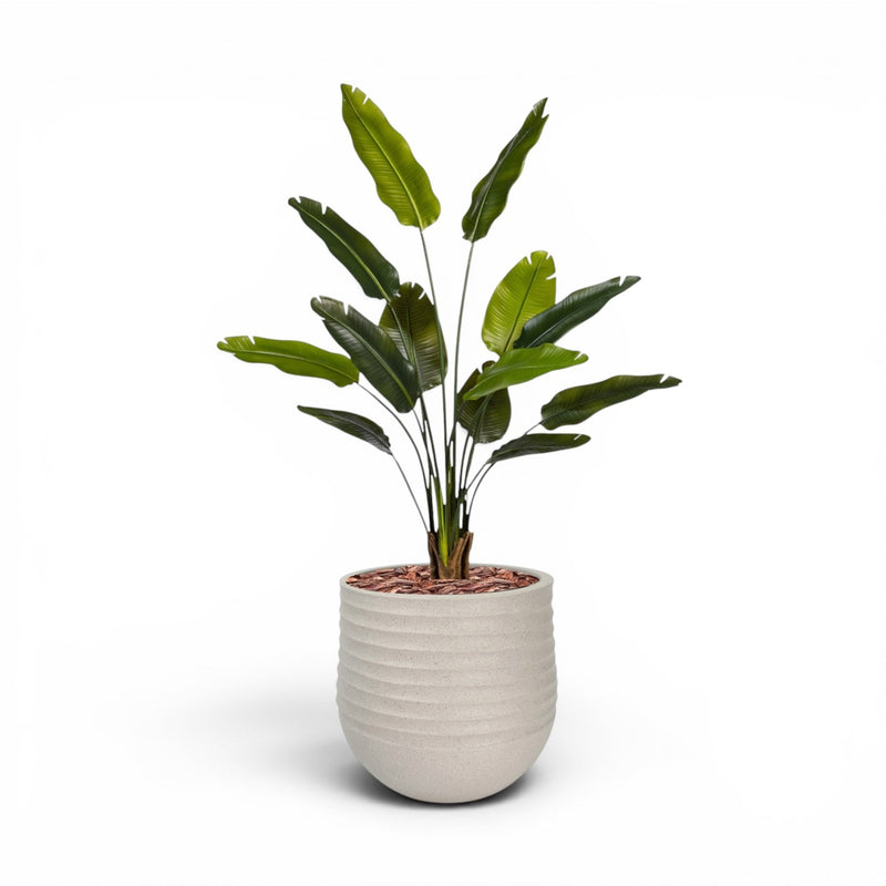 Mariella Round L Beige with Strelitzia 160cm