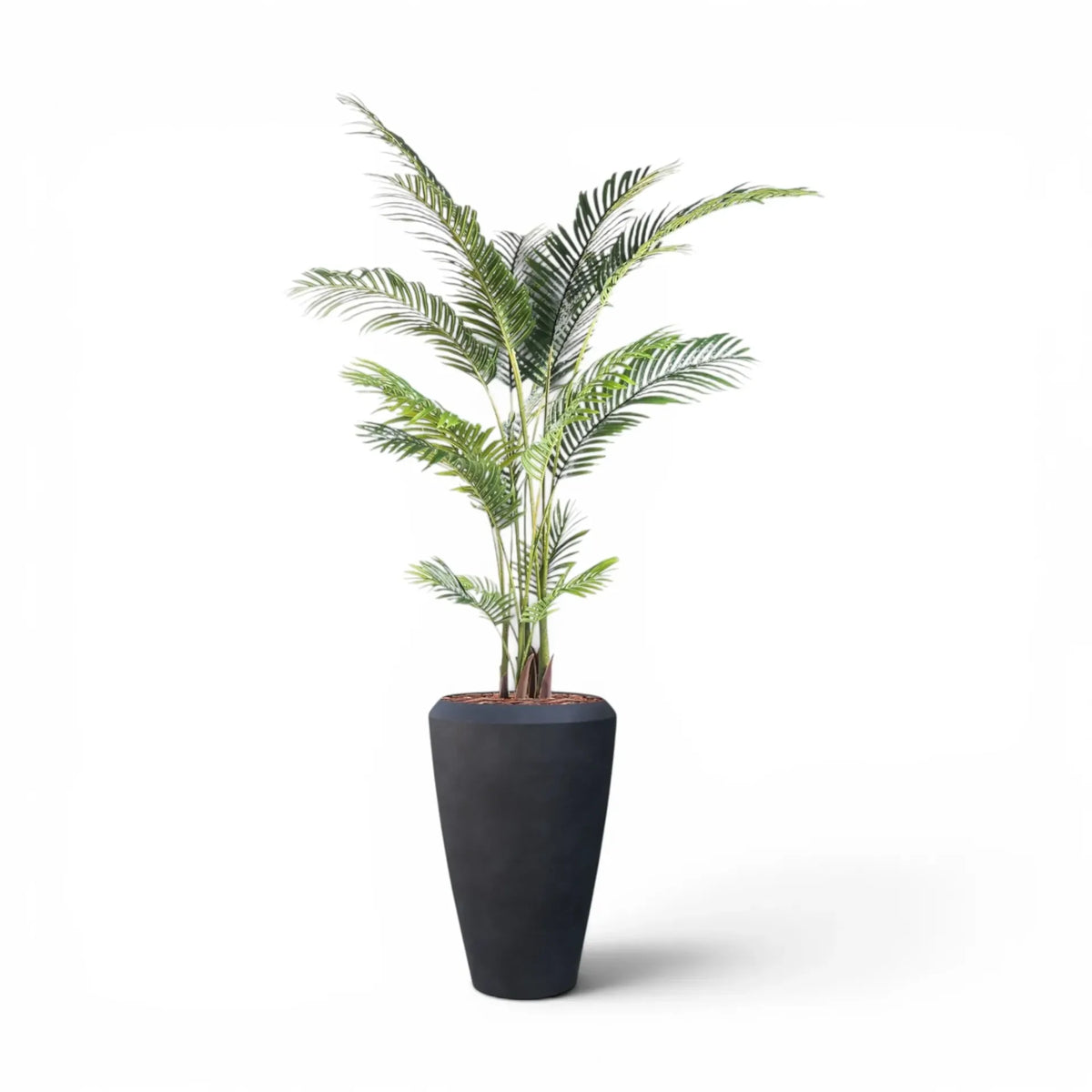 Linford Tall Planter M 44.5x70 With Palm 170cm