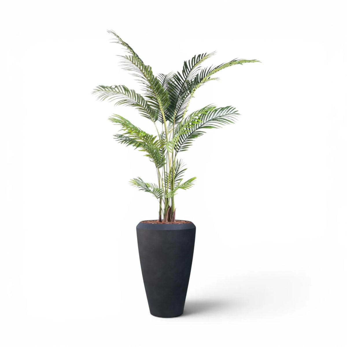 Linford Tall Planter M 44.5x70 With Palm 170cm