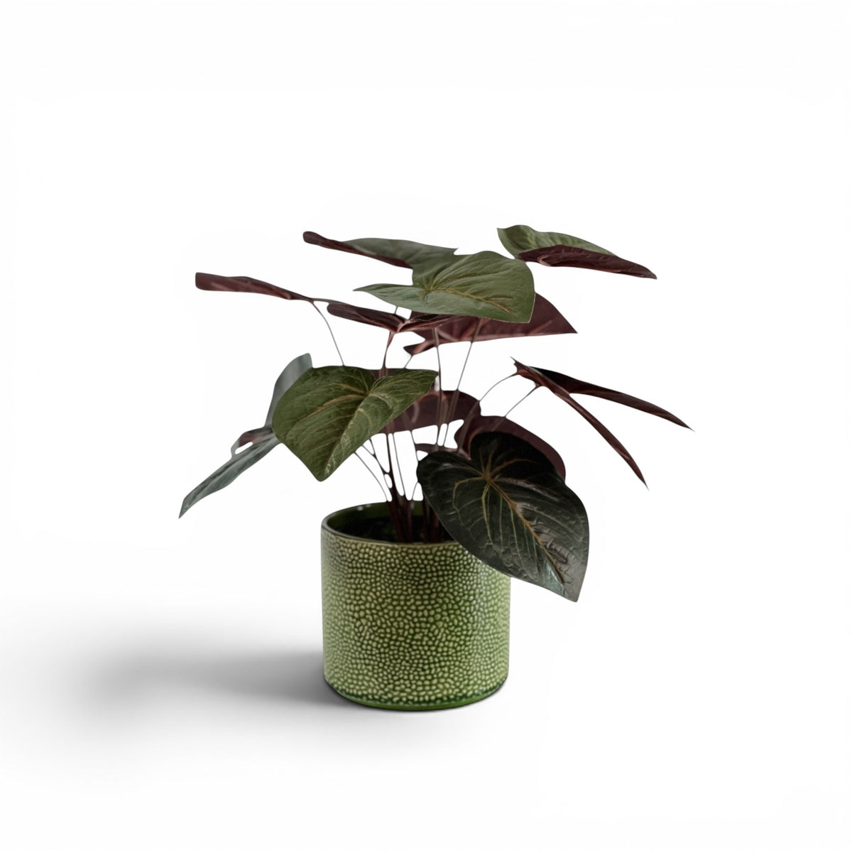 ANTHURIUM BUNCH IN PESTO POT