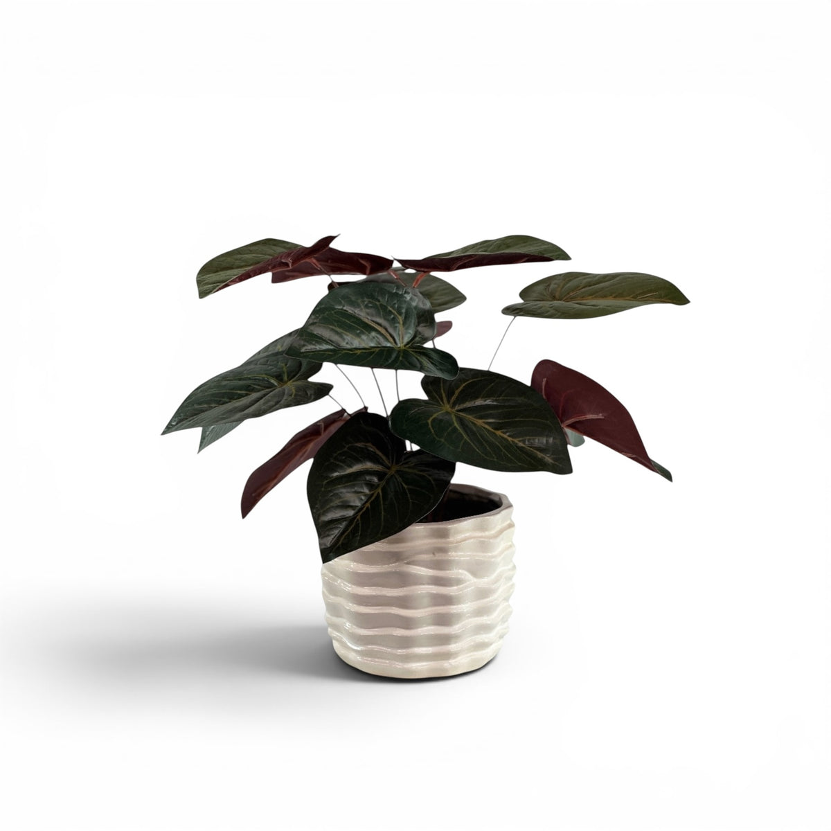 ANTHURIUM BUNCH IN WHITE DUNES POT