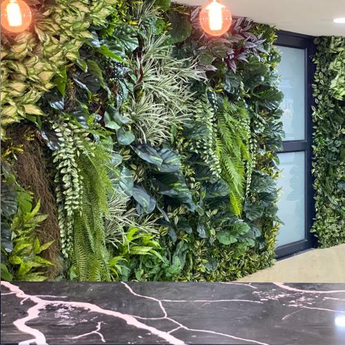 Green wall created by Plant Couture. Custom green walls created to your requirements. Contact us for a quotation.