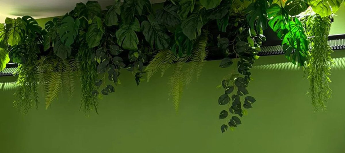 Join the faux plant lifestyle with Plant Couture. Artificial plants, silk flowers, trees, foliage and pots and planters. Shop www.plantcouture.co.za