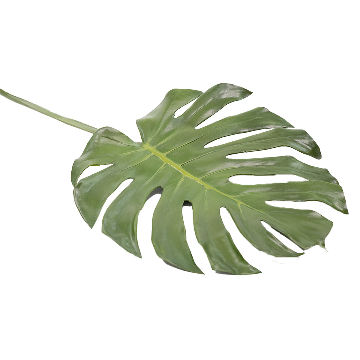 Monstera Leaf - 105cm