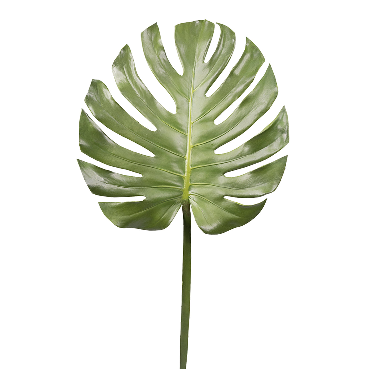 Monstera Leaf - 105cm