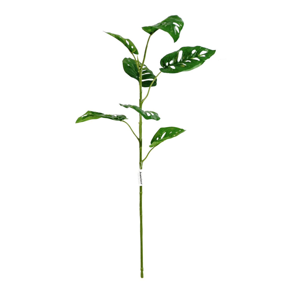 Artificial Monkey Monstera stem real touch 81cm with 7 green leaves with the natural holes monstera plant often has.