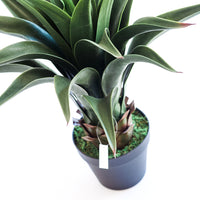 Plant Couture - Artificial Plants - Agave 55cm - Close Up