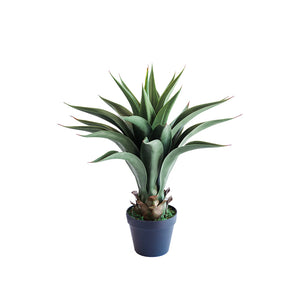 Plant Couture - Artificial Plant & Pot Combo - With Agave 55cm