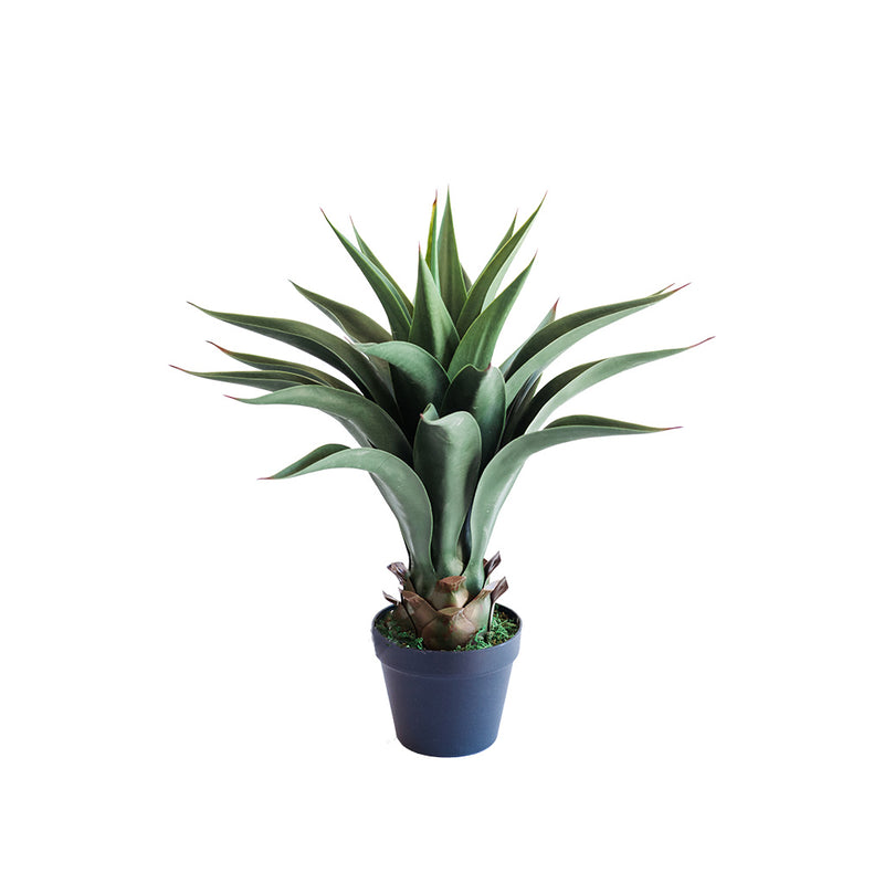 Plant Couture - Artificial Plant & Pot Combo - Agave 55cm
