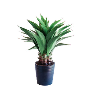 Plant Couture - Artificial Plant & Pot Combo - With Middle Agave 90cm