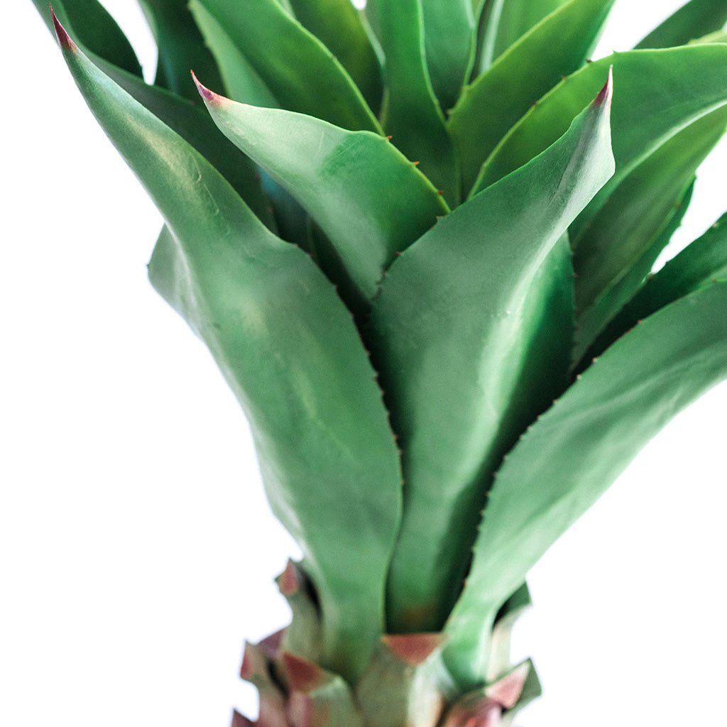 Plant Couture - Artificial Plants - Agave Middle 90cm - Close Up 