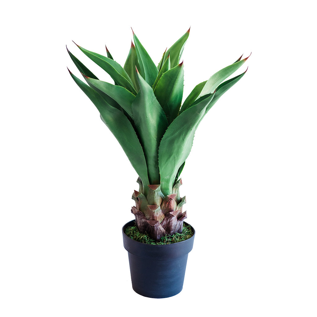 Plant Couture - Artificial Plants - Agave Middle 90cm