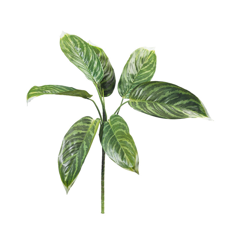 Artificial  Aglaonema 55cm 7 leaves Green with white tips