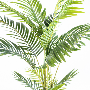 Plant Couture - Artificial Plants - Areca Palm 120cm - Top view