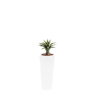 Plant Couture - Artificial Plant & Pot Combo - Armani B with Agave 55cm