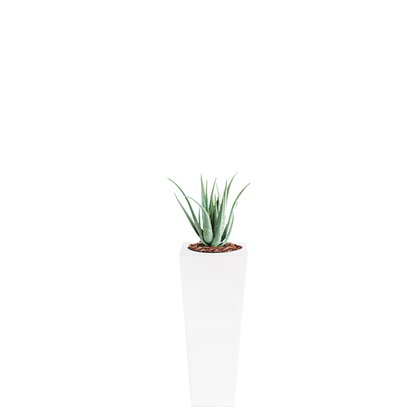 Plant Couture - Artificial Plant & Pot Combo - Armani B with Aloe 70cm