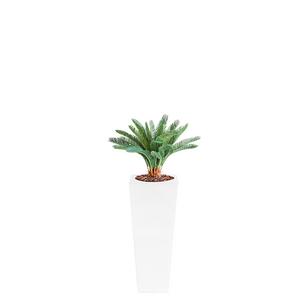 Plant Couture - Artificial Plant & Pot Combo - Armani B with Cycas 72cm