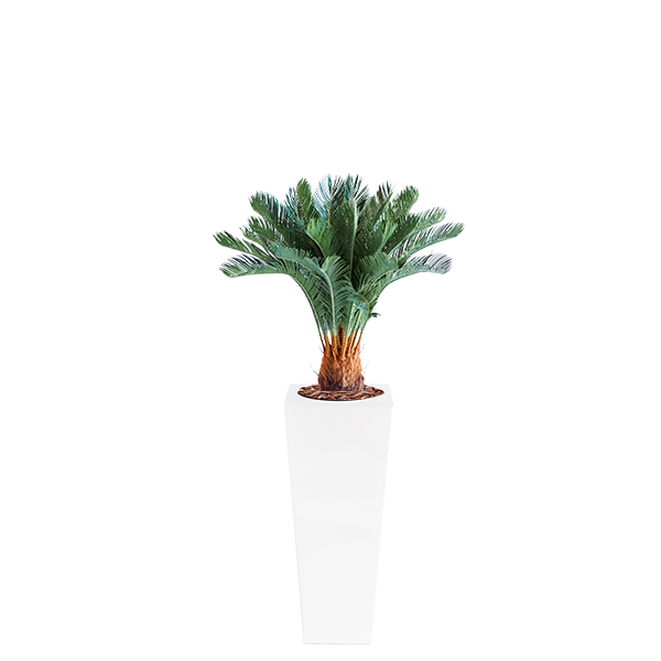 Plant Couture - Artificial Plant & Pot Combo - Armani B with Cycas 93cm