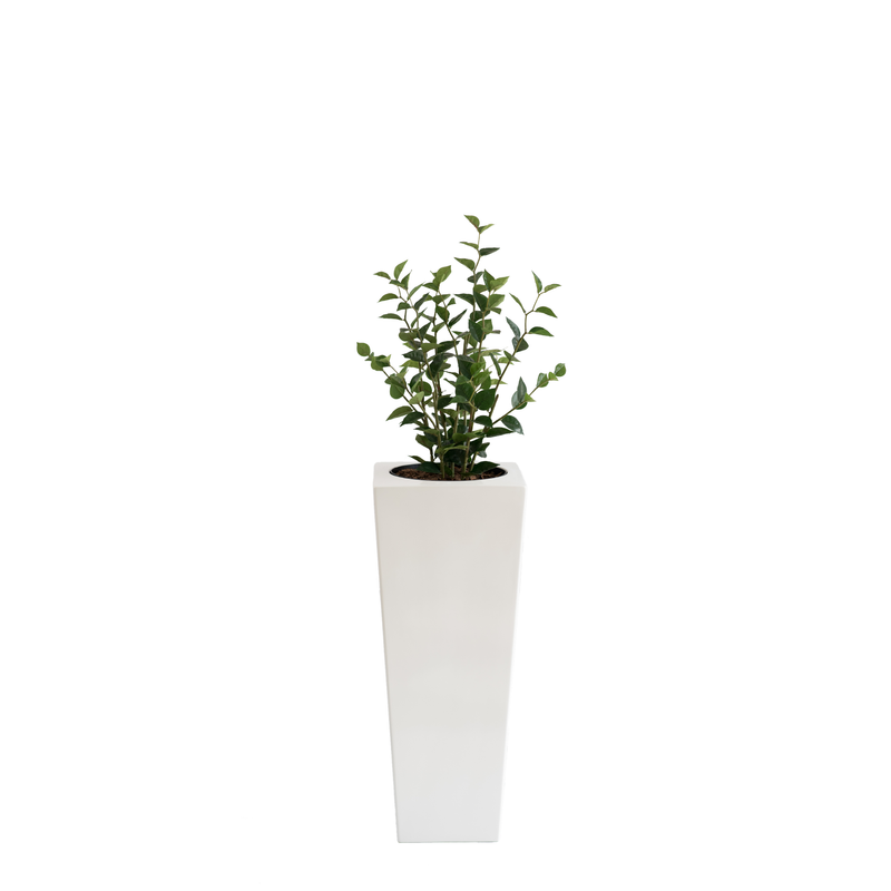 Plant Couture - Artificial Plant & Pot Combo - Armani B with Green Joy Plant 80cm