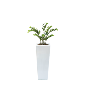 Plant Couture - Artificial Plant & Pot Combo - Armani B with Zamifolia 87cm