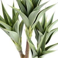 Plant Couture - Artificial Plants - Agave 4 Head 105cm - Close Up 