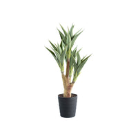 Plant Couture - Artificial Plant & Pot Combo - With Agave 4-head 105cm
