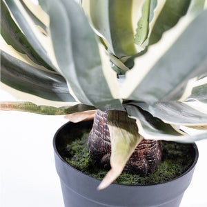 Plant Couture - Artificial Plants - Agave 45cm  - Close Up Of Base 