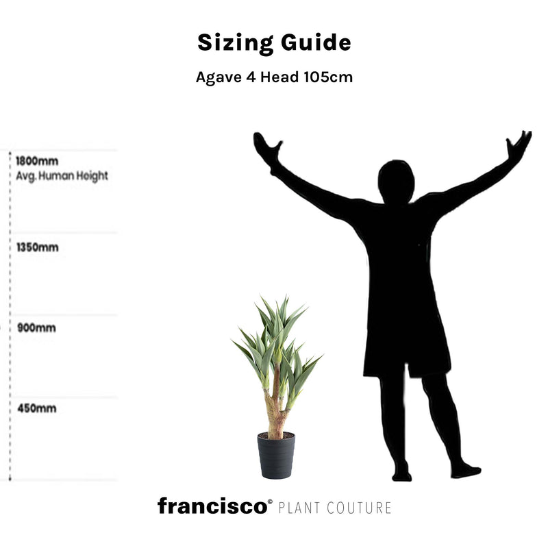 Agave 4 Head 105cm - Plant Couture - Artificial Plants