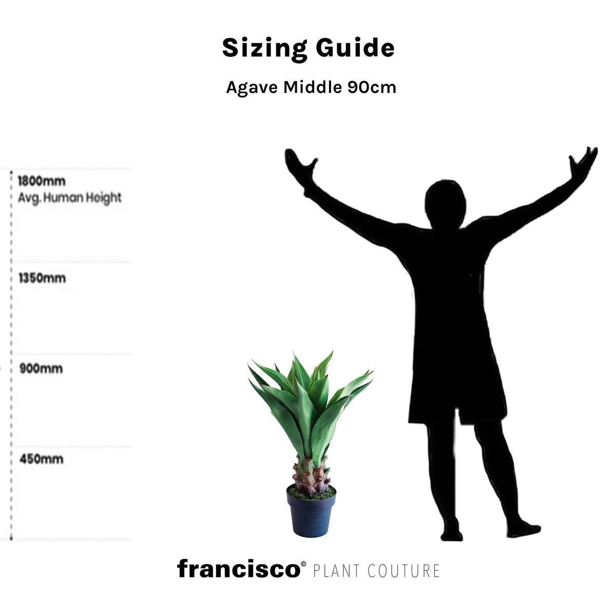 Agave Middle - 90cm