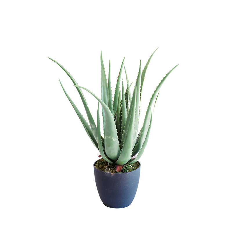 Plant Couture - Artificial Plant & Pot Combo - With Aloe 70cm