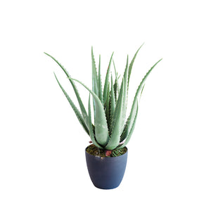 Plant Couture - Artificial Plant & Pot Combo - With Aloe 70cm