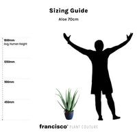 Aloe 70cm - Plant Couture - Artificial Plants