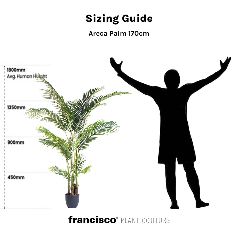 Areca Palm 170cm - Plant Couture - Artificial Plants
