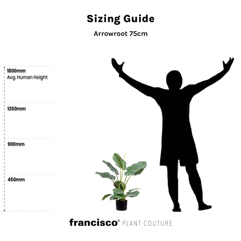 Arrowroot 75cm - Plant Couture - Artificial Plants