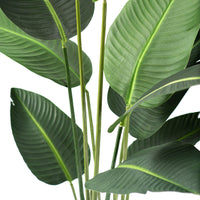 Plant Couture - Artificial Plants - Bird Of Paradise Tree 150cm - Close Up Of Leaves And Stems