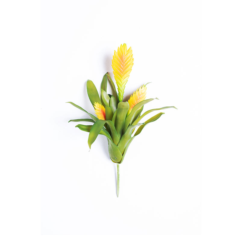 Plant Couture - Artificial Plants - Succulent Bromelia Vriesia Yellow Red 35cm - Front