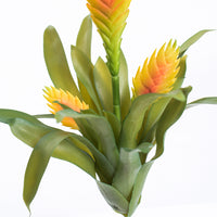 Plant Couture - Artificial Plants - Succulent Bromelia Vriesia Yellow Red 35cm - Close Up
