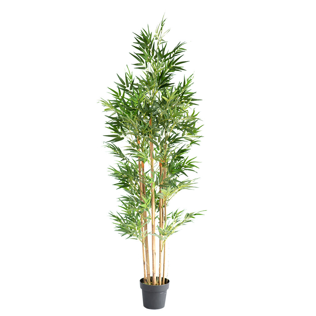 Plant Couture - Artificial Plants - Bamboo Tree 180cm